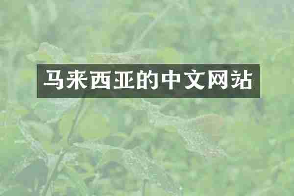 马来西亚的中文网站