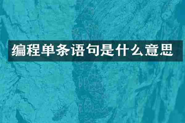 编程单条语句是什么意思