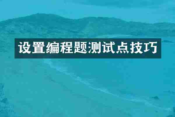 设置编程题测试点技巧