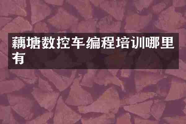 藕塘数控车编程培训哪里有