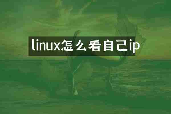 linux怎么看自己ip