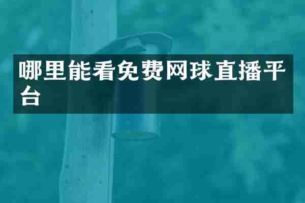 哪里能看免费网球直播平台