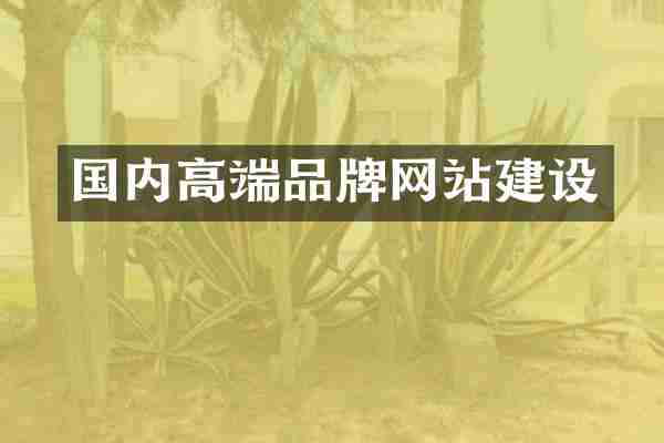 国内高端品牌网站建设