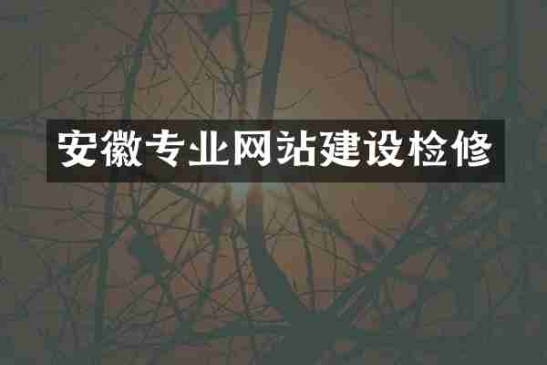 安徽专业网站建设检修