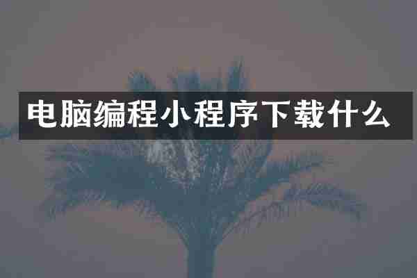 电脑编程小程序下载什么