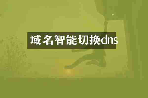 域名智能切换dns