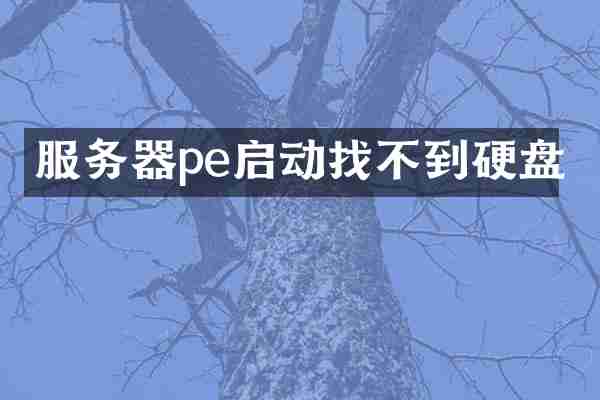 服务器pe启动找不到硬盘