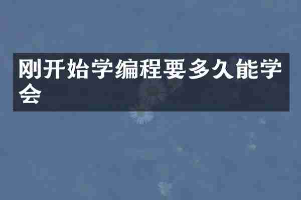 刚开始学编程要多久能学会