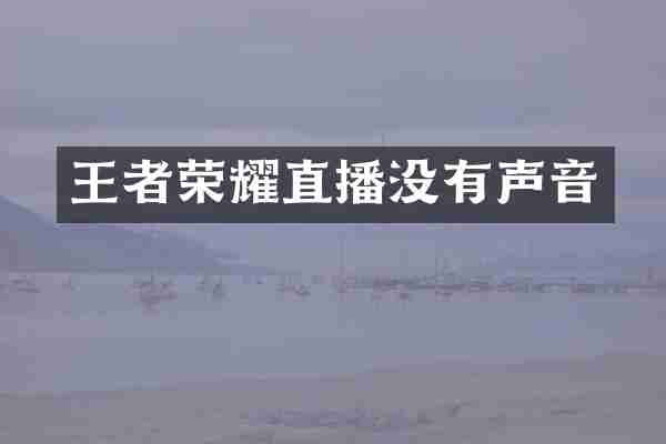 王者荣耀直播没有声音