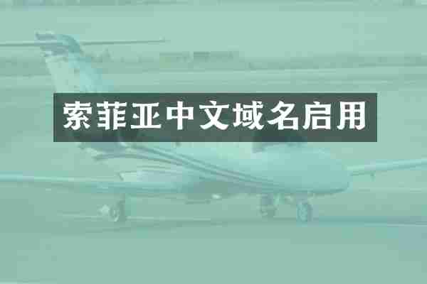 索菲亚中文域名启用