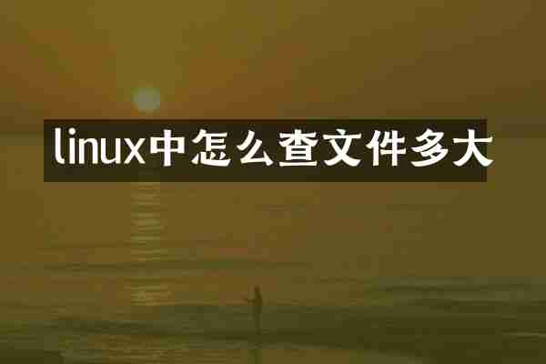 linux中怎么查文件多大