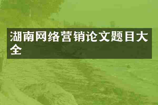 湖南网络营销论文题目大全