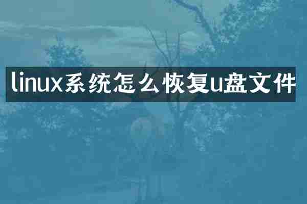 linux系统怎么恢复u盘文件