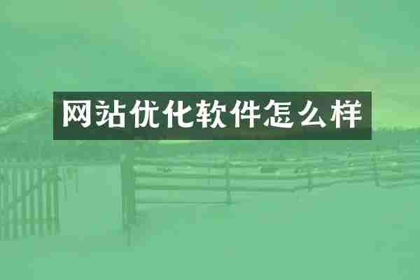 网站优化软件怎么样