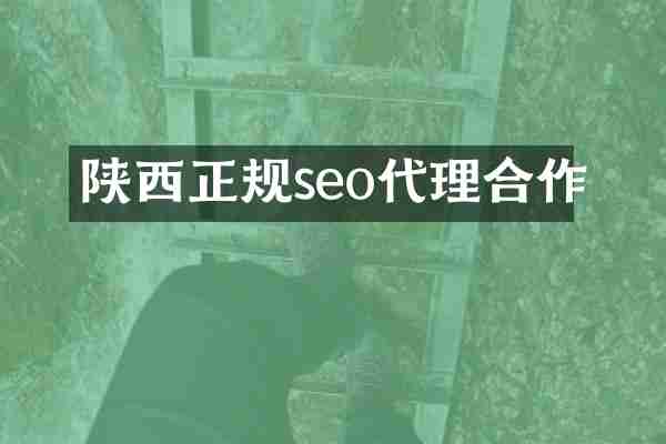 陕西正规seo代理合作
