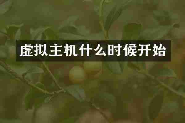 虚拟主机什么时候开始