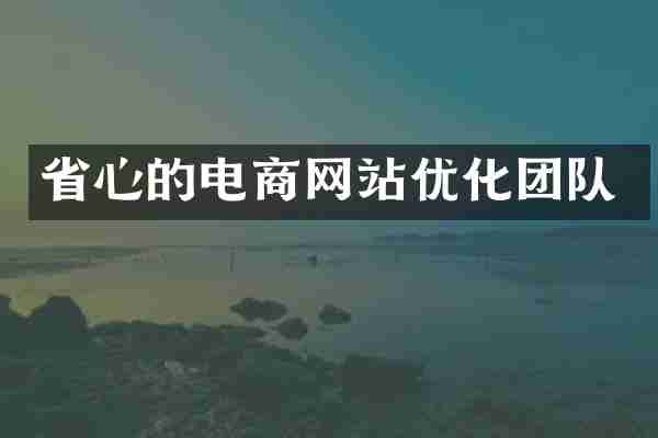 省心的电商网站优化团队