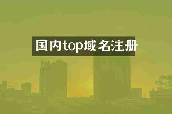 国内top域名注册