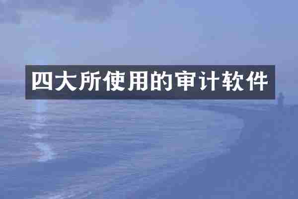 四大所使用的审计软件