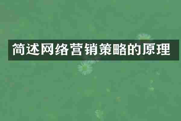 简述网络营销策略的原理