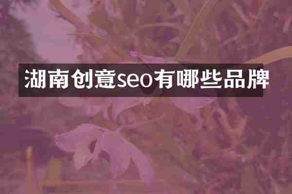 湖南创意seo有哪些品牌