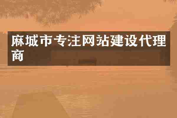 麻城市专注网站建设代理商