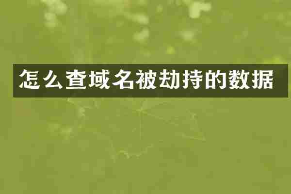 怎么查域名被劫持的数据