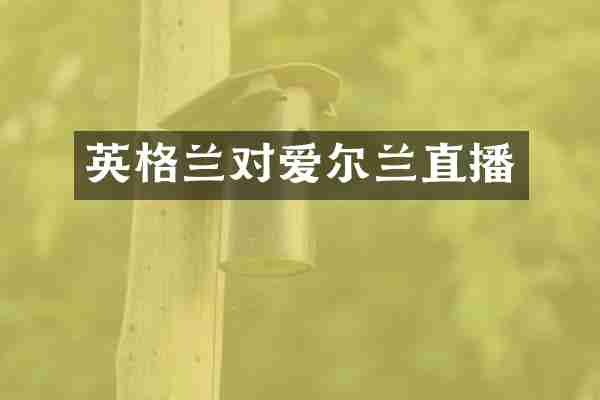 英格兰对爱尔兰直播
