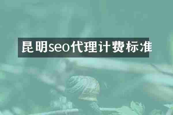 昆明seo代理计费标准
