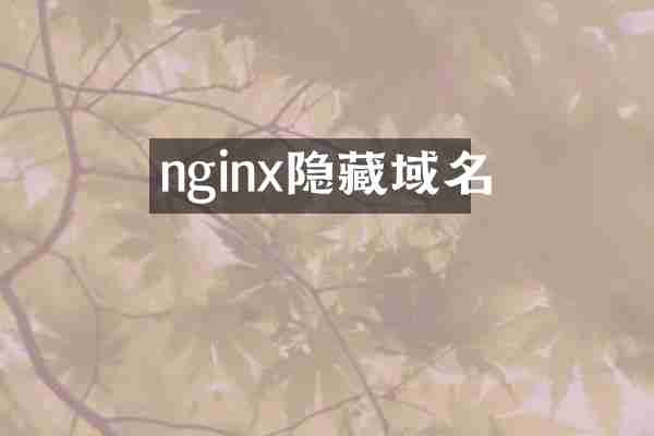 nginx隐藏域名