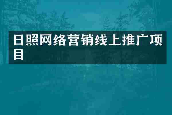 日照网络营销线上推广项目