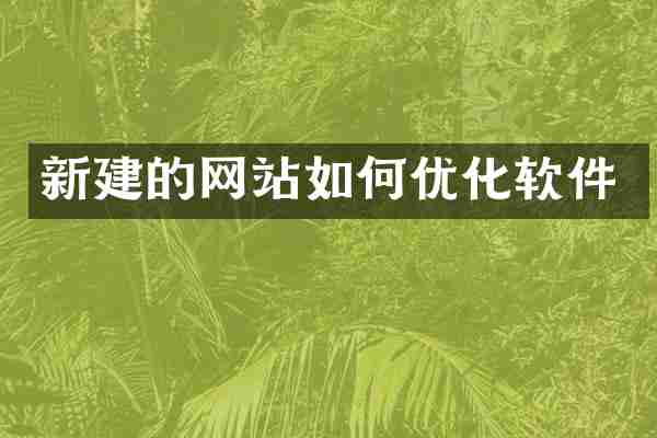新建的网站如何优化软件