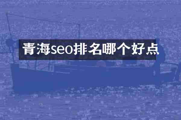 青海seo排名哪个好点