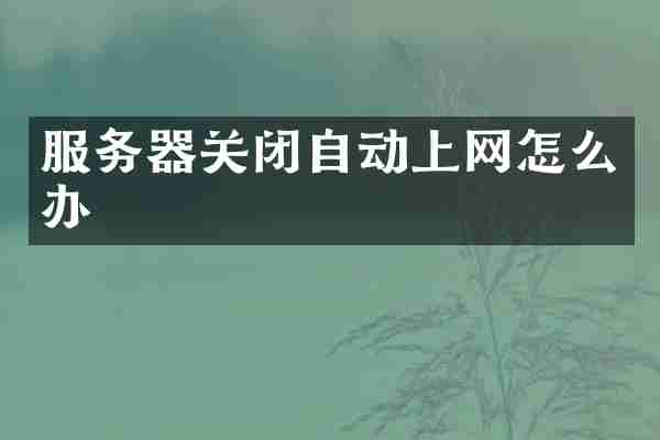 服务器关闭自动上网怎么办