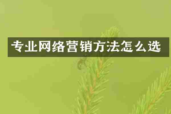 专业网络营销方法怎么选