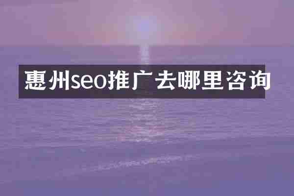 惠州seo推广去哪里咨询