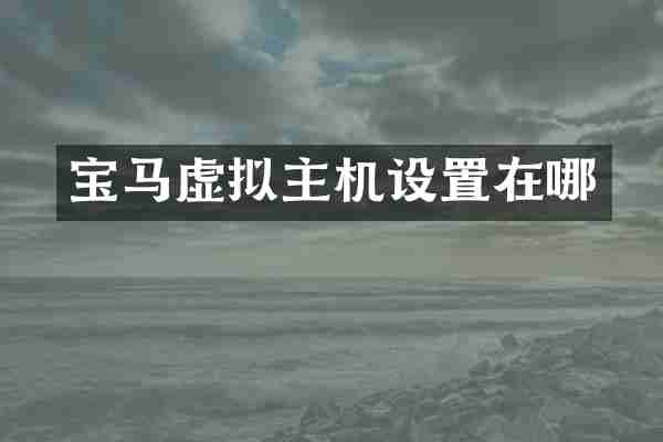 宝马虚拟主机设置在哪