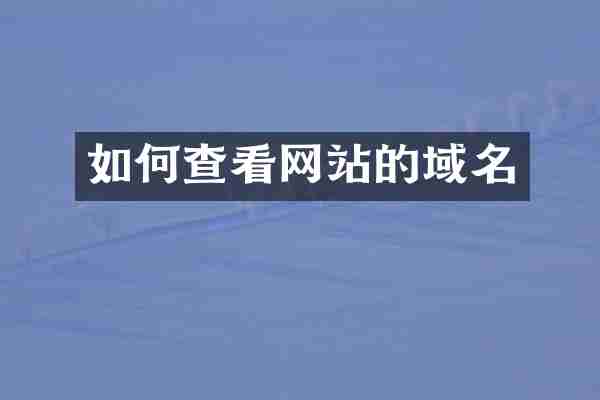 如何查看网站的域名