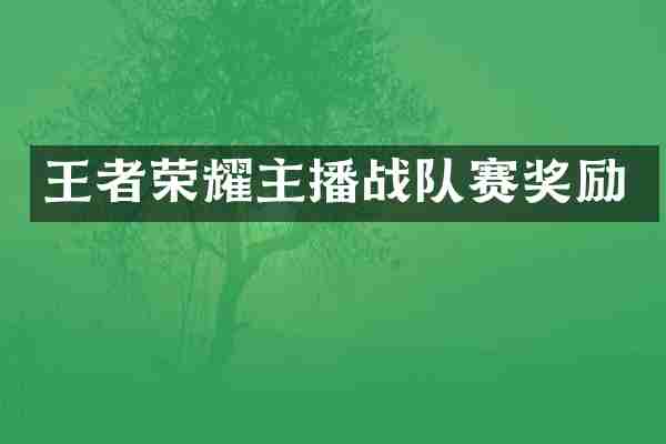 王者荣耀主播战队赛奖励