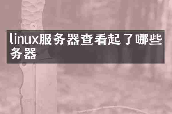 linux服务器查看起了哪些服务器
