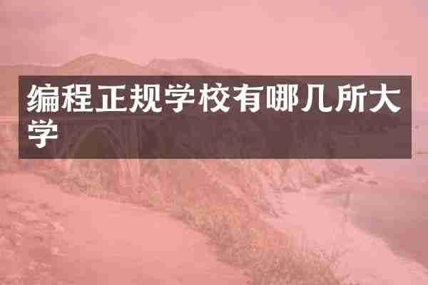 编程正规学校有哪几所大学