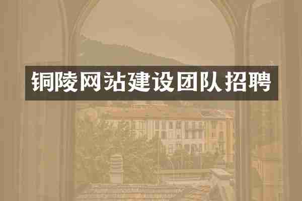 铜陵网站建设团队招聘