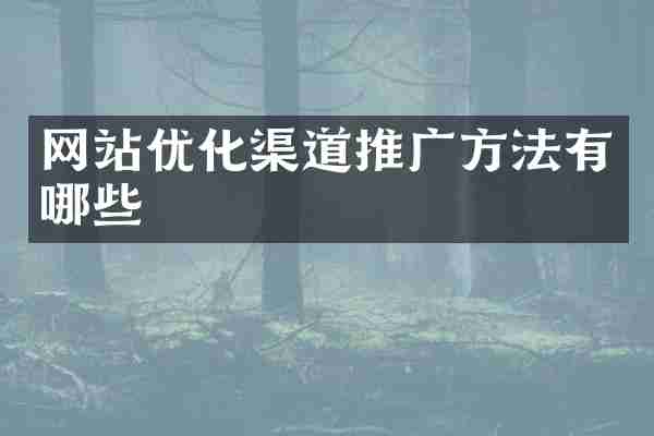 网站优化渠道推广方法有哪些