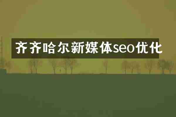 齐齐哈尔新媒体seo优化