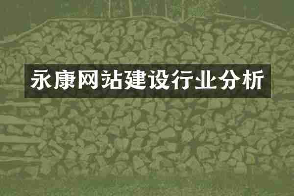 永康网站建设行业分析