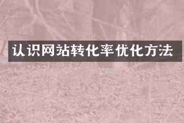 认识网站转化率优化方法