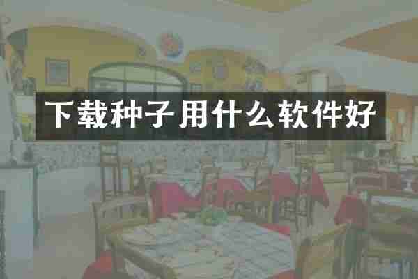 下载种子用什么软件好
