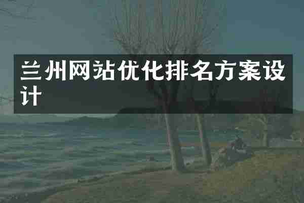 兰州网站优化排名方案设计