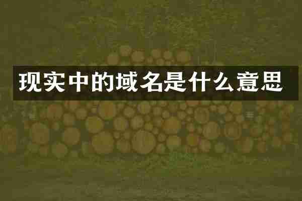 现实中的域名是什么意思