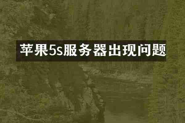 苹果5s服务器出现问题